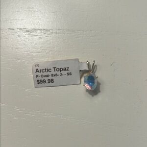 Alaskan Gem Arctic Topaz Charm